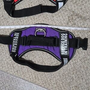 Service Dog in Training vest - Purple